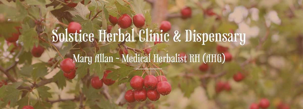 Hawthorn Berries